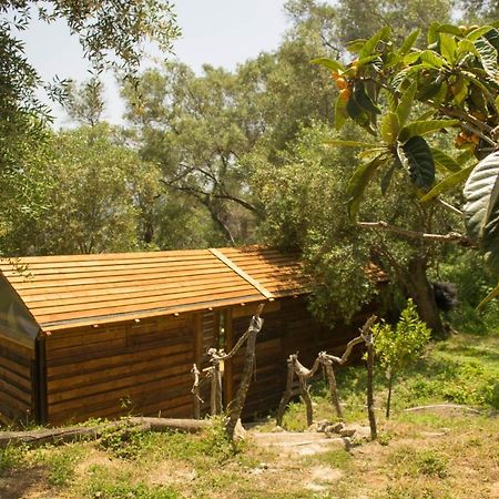 Pelekas Olive Grove Oasis Room No4 Eksteriør bilde