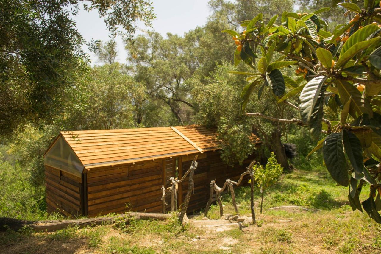Pelekas Olive Grove Oasis Room No4 Eksteriør bilde